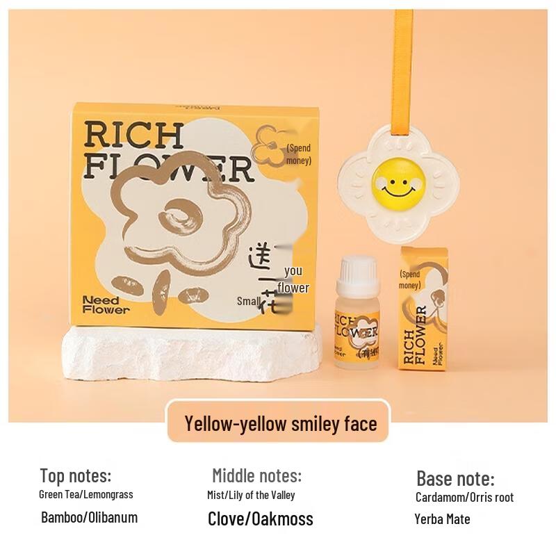 Aromatherapy Plaster Car Hanging Ornament Gift Box