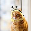 Balacoo Bee Shape Cat Headgear, Lovely Pet Hat, Soft Dog Cosplay Hat Costume for Festival Costume Accessories