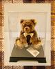 [USED] Steiff Teddy Bear Made In Germany Congratulations Edition No.