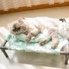 Sankieo Elevated Washable Pet Cot