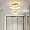 Modern Minimalist LED Ceiling Lamp Indoor Home Lighting Living Room Dining Room Corridor Balcony Bedroom Lighting Lamps