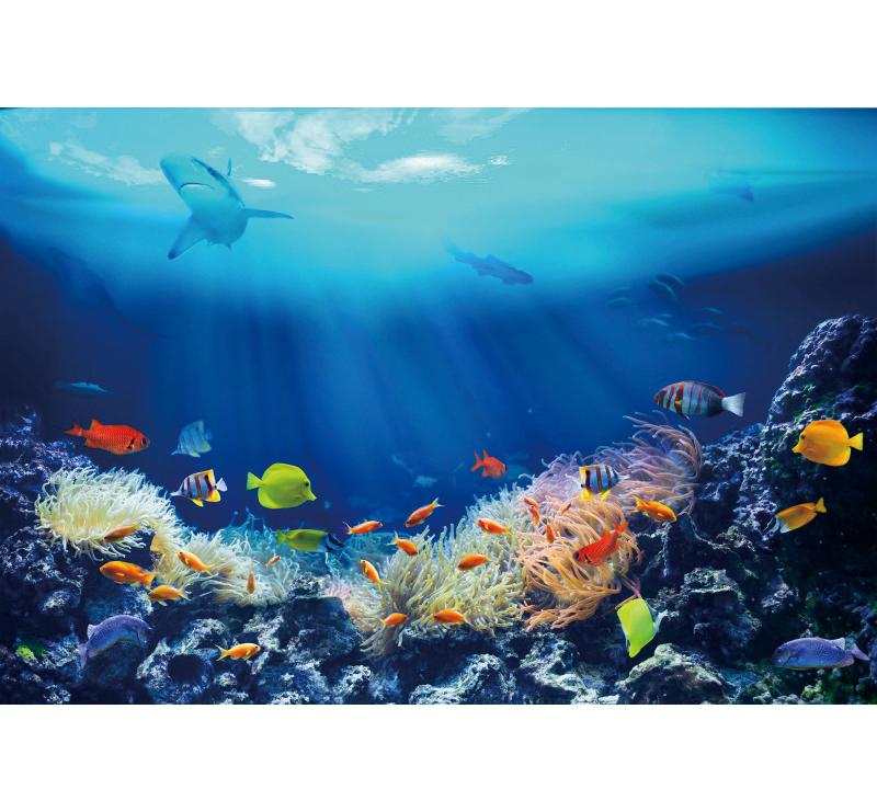Underwater World Fish Coral Aquarium Theme Photography Backdrop, Children's Birthday Party, Home Decoration Photography Backdrop
