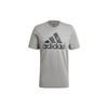 T Shirts Men's Gray Crew Neck Moderate Straight Fit GK9637