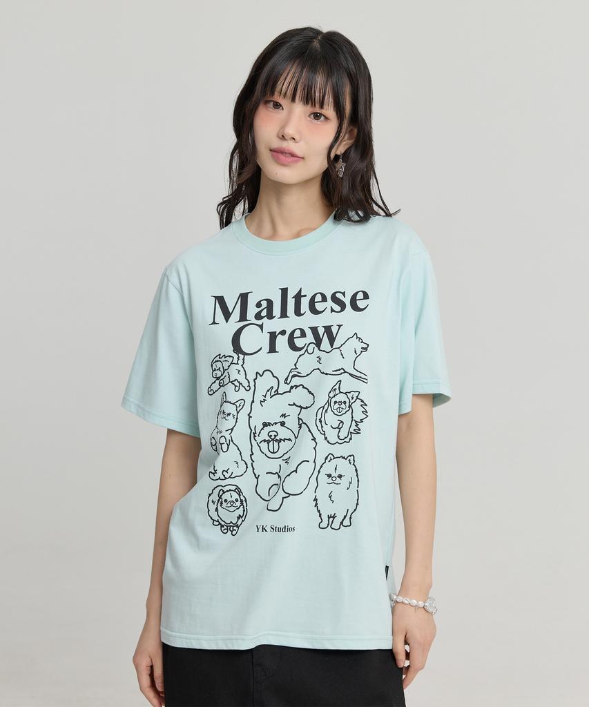 WAIKEI Maltese Crew Line Graphic Short Sleeve T-Shirt Mint