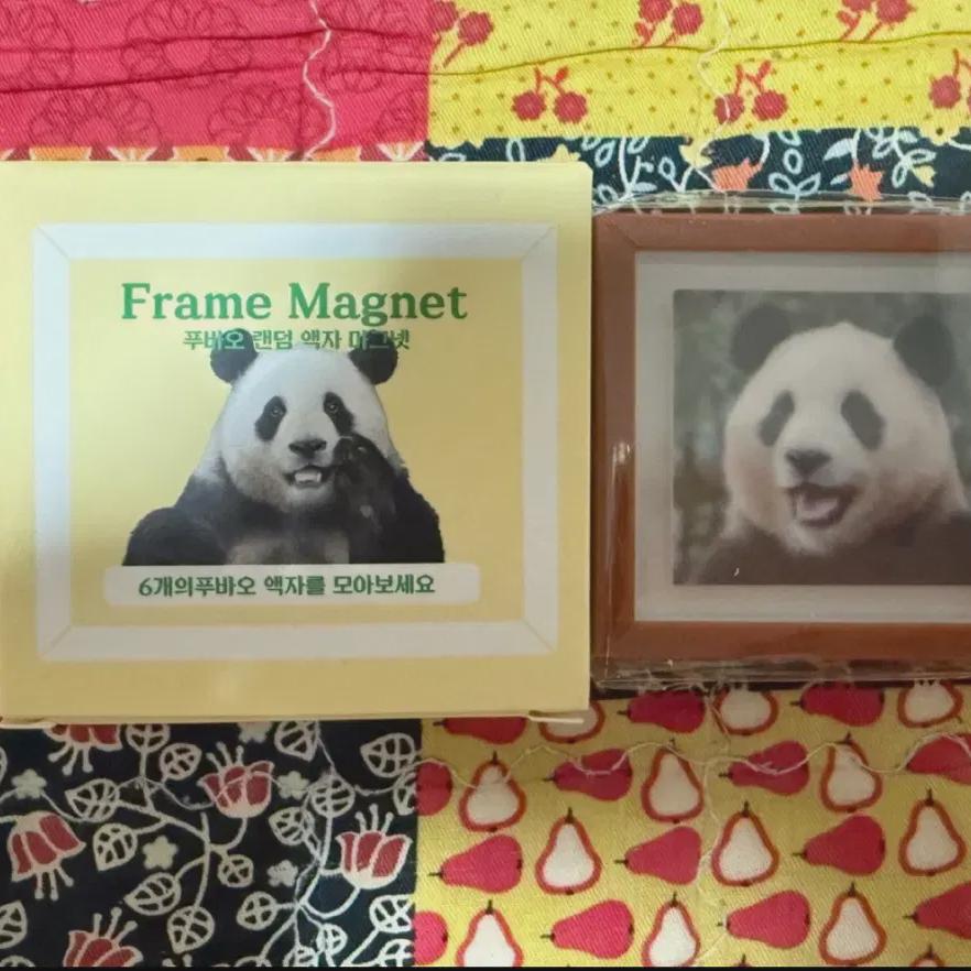 

Fubao Picture Frame Magnets Are For Sale.
