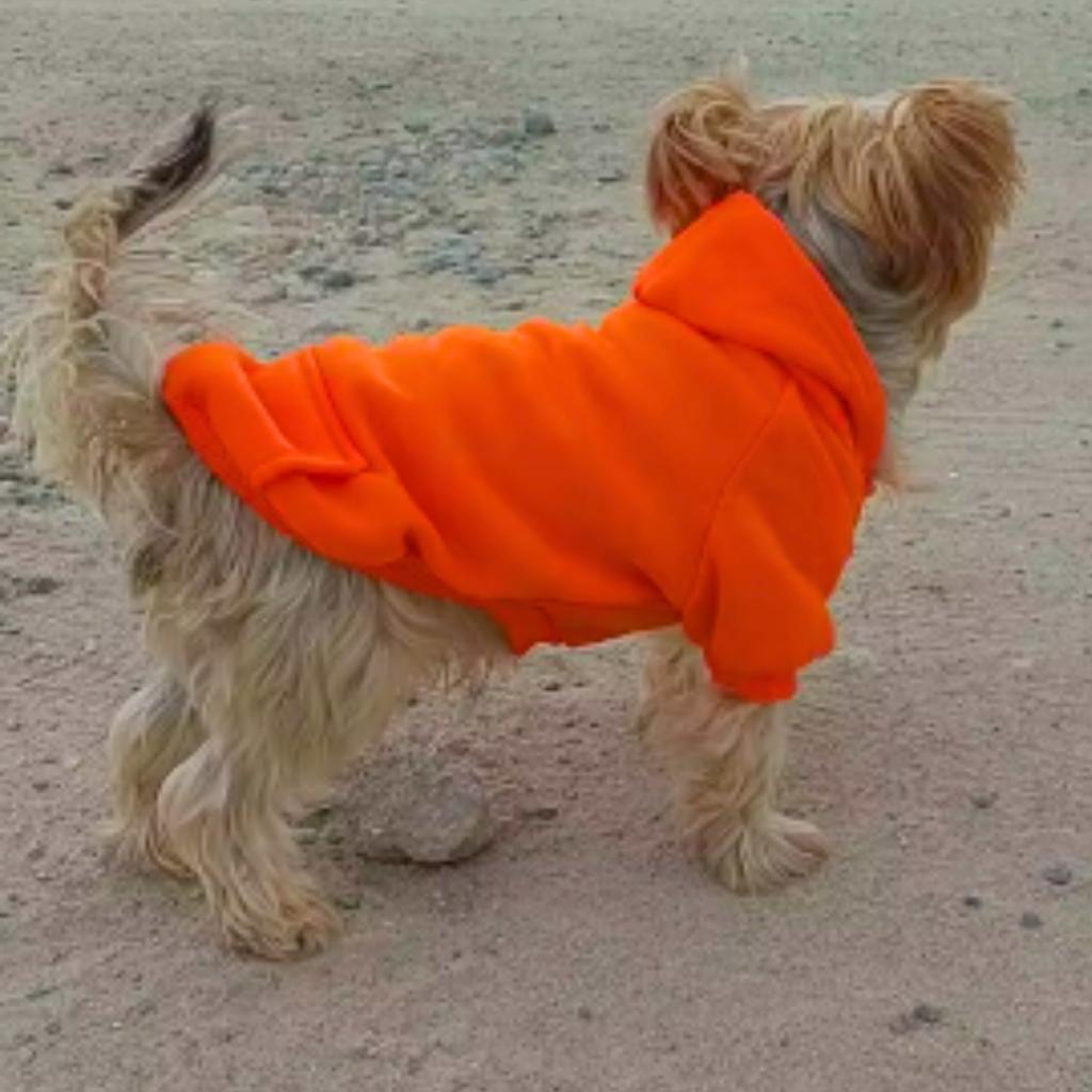 Dog Clothes Vest Jacket Sweatshirt With Hood Insulated Size S