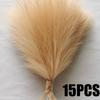 24PCS Brown Faux Pampas Grass White, 56cm Short Artificial Pompous Grass Floral Fake Pompas Grass Branches Vase Filler