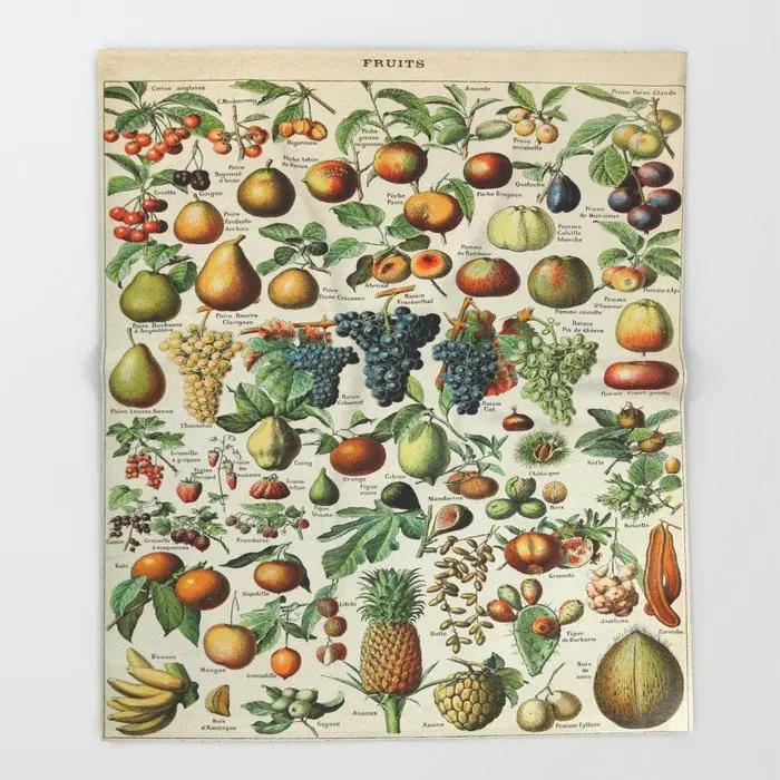 Adolphe Millot Fleurs Pour Tous French Vintage Poster Throw Blanket  Warm Microfiber Blanket Flannel Blanket