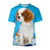3D Puppy Dog Printed T-shirty Men Oversized Baggy Cavalier King Charles Spaniel Graphic T Shirts Streetwear Cute Clothes