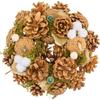 Foyer Mini Wreath Natural Corn Cotton Berries 8425308