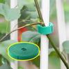 Adjustable Pack Gardening Plant Ties Set | 3.4