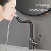 TLXT Gunmetal Stainless Steel Basin Faucet