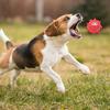 Giocattoli da masticare per cani indistruttibili, grandi cani, palla di spine che squittisce, giocattolo in lattice per animali domestici con suono incorporato, cura dentale, cartone animato divertente da masticare