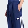 ADIDAS House Of Tiro Pants Kf4766