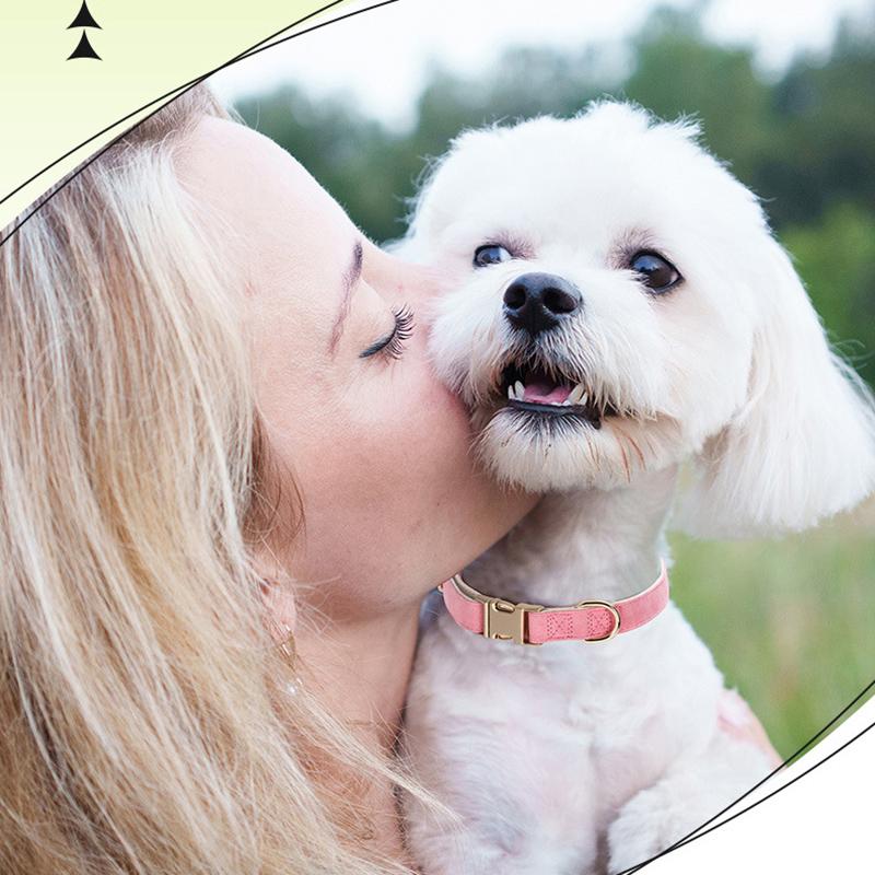 Adjustable Soft Suede Leather Dog Collar with Metal Buckle Fashional Durable Anti-Escape Dog Necklace Collares Para Perro