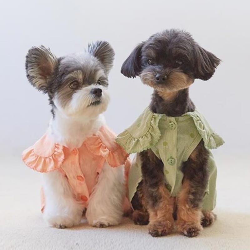 MIMINKO Dot Balloon Blouse [DW4SB1050]