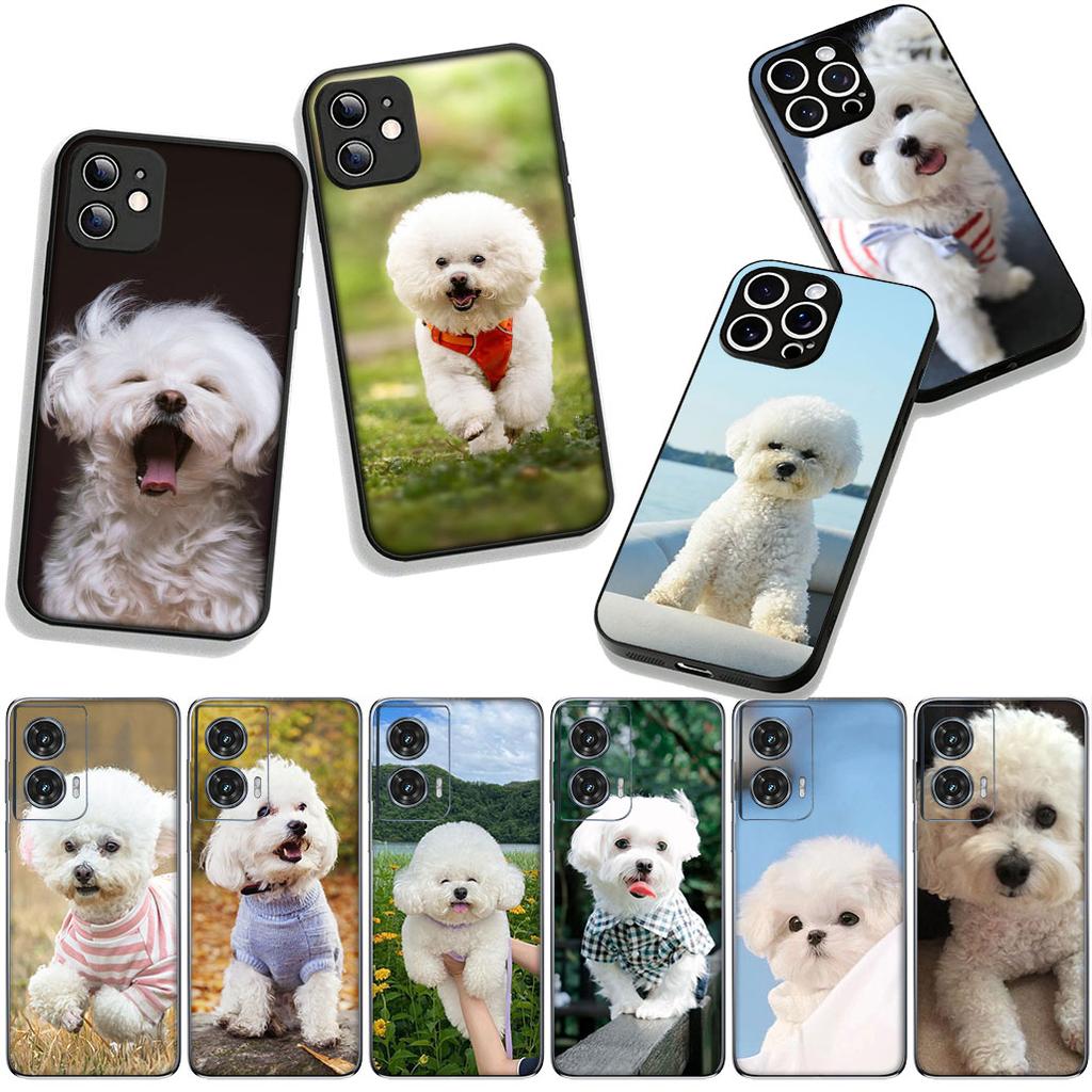 Phone Cover Bichon Frise Dog Pet Casing for Xiaomi Redmi Note 14 12 13 ProPlus A4 A3 Pro Plus 12C 13C 14C 5G + Case