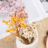 30 buc Buchet uscat DIY Decorativ Plante naturale colorate Păstrează decor floral