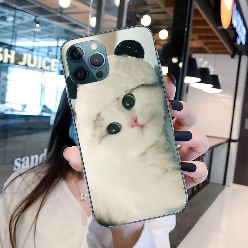 Etui na telefon komórkowy iPhone 15 Mini, urocze etui na telefon komórkowy z motywem kota, malowane, odporne na upadki i chroniące dłoń przed upadkiem.