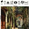 2D Romantische Europäische Gasse Kulisse, Altstadt mit Grünen Ranken für Fotoshooting