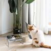 Elevated Cat Dog Bowl Stainless Steel Raised Cat Food Water Bowl Set With Anti Slip Stand For Indoor Cats Pets Feeding Supplies