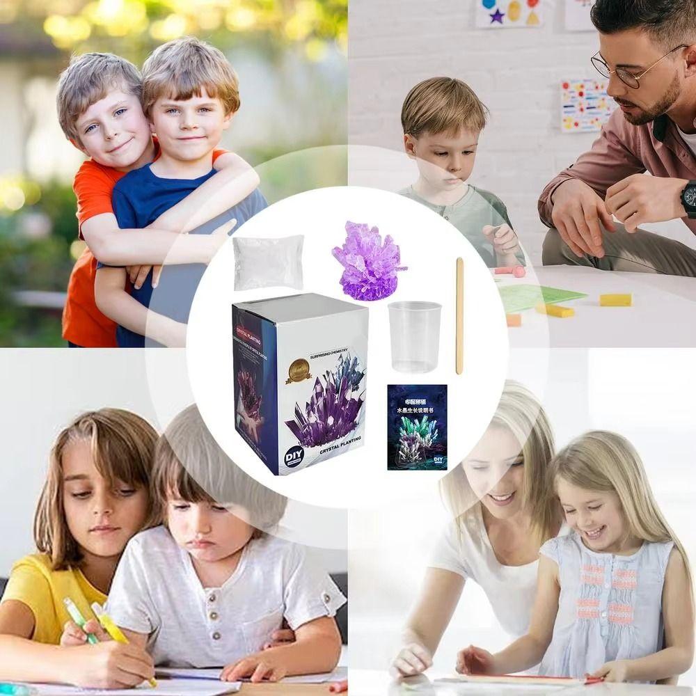 Grow a Crystal Science Experiments Toy Colored Crystals Crystal Making Kit  Teens