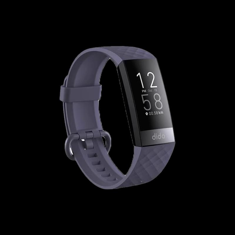 dido R66s Smart Health Tracker Bracelet (CN version)