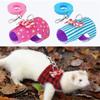 Accessories Chest Strap Bowknot Pet Supplies Harness and Leash Set Traction Rope Small Pets Vest