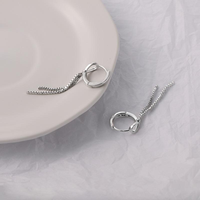 Tassel S925 sterling silver earrings women's long chain personalized earrings niche design advanced cold wind