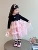 Autumn 2025 Cute Long Sleeve Gauze Dress for Little Girls - Stylish Princess Design