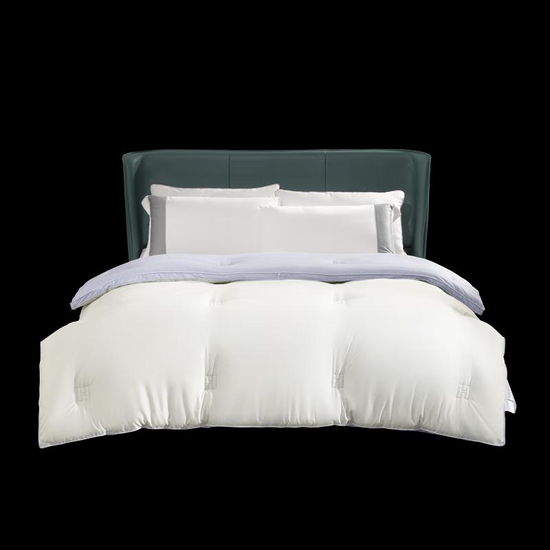 

Mercury Home Theanine Herbal Antibacterial Goose Down Quilt