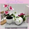 Simulated Sand Phalaenopsis Bonsai Green Plants For Home Decoration Wedding
