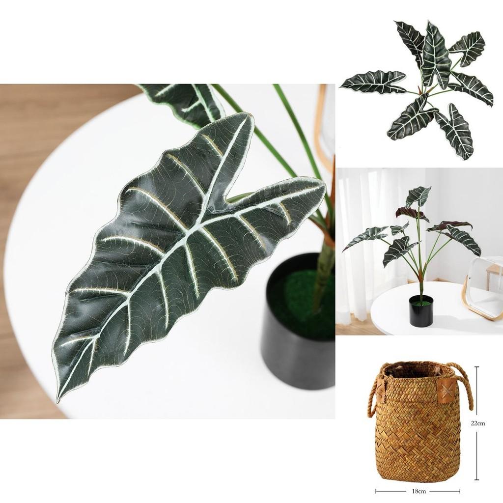 Style Artificial Alocasia Odora Leaf Plant With Handcrafted Basket For Home Decor