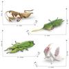 Lifelike Insect Model Set With Four Unique Designs Including Orchid Mantis Leaf Insect And More