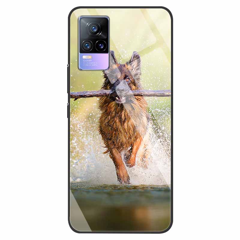 For VivoV21 5G Tempered Glass Case for Vivo V21 5G Soft Bumper Hard Funda For Vivo X60 Pro Global Phone Case X60 5G 2021 Cover