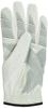 Dunlop Golf Glove Srixon White 26cm (DUNLOP) Men's (Left Hand) GGG-S026