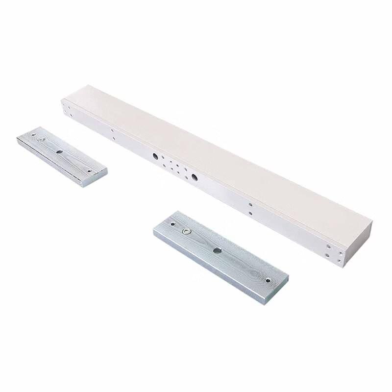 ZUCON Electromagnetic Double Door Lock CN Plug (adapter Included)
