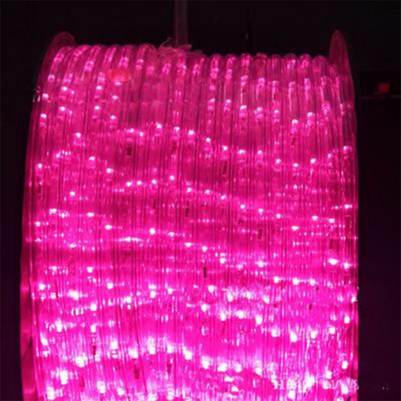 Waterproof LED Rainbow String Lights: Outdoor Two-Wire Neon Tube for Festival Decoration 24 LEDs, 10m, Flashing Plug светло-розовый
