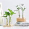 Gifts Flower Vase Weddings Party Flower Pot Home Garden Decoration Plant Vases Test Tube Vase