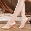Moderne Tanzschuhe Damen Erwachsene Standardtanz Foxtrott Mittlerer Hoher Absatz Ältere Kinder Latein Weiche Sohle Übung Walzer Schuhe