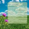 Liver Health Dietary Supplement with Liver Detoxification and Digestive Aid Properties. 120 Capsules.
