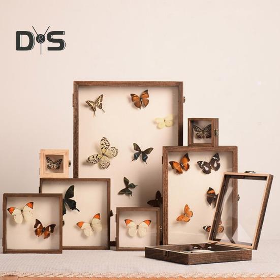 High-Visibility Display Box Large Insect Shadow Box Wood Construction Multiple Sizes Smooth Edge Insect Specimens Storage Display Case