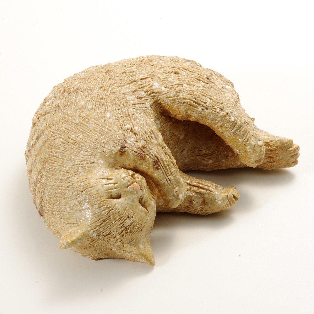 Shigaraki Ware Hechimon Pottery, Kosei Kiln, Goronyanneko (Large), 40-4079