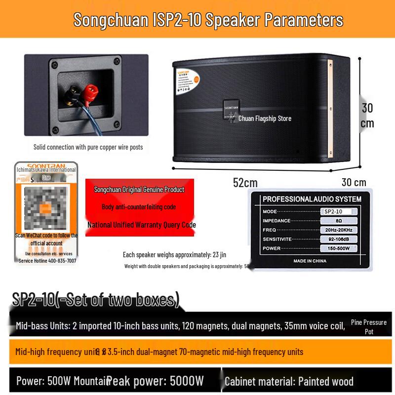 Songchuan SP2 10-inch Home KTV System CN Plug (adapter Included)