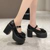 Mary Jane Shoes Women's Spring Autumn New Fashion Bow High Heels Thick Soled Coarse Heeled Leather Shoes