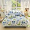 Winter Thick Warm Milk Coral Fleece Bedding Set Ins Fresh Duvet Cover Single