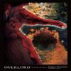 Overlord Vol. 3 Novel by Sobin Hardback Book 9780316363938