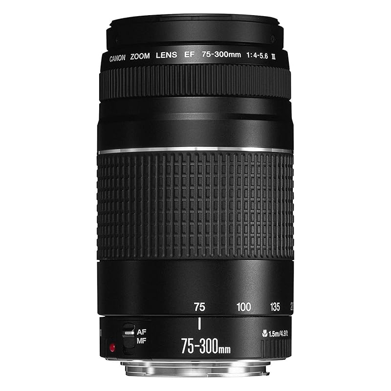 

Canon EF lens EF75-300mm F4-5.6 III zoom lens telephoto Goods black