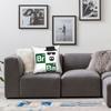 Breaking Bad Pillowcase Polyester Cushion Cover Decorative  Throw Pillow Case Cover Home Square 40X40cm