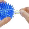 Retriever Large Dogs Dog Toys Puppy Chew Toys Hedgehog Ball Spikey Balls Interactive Toys Dog Balls